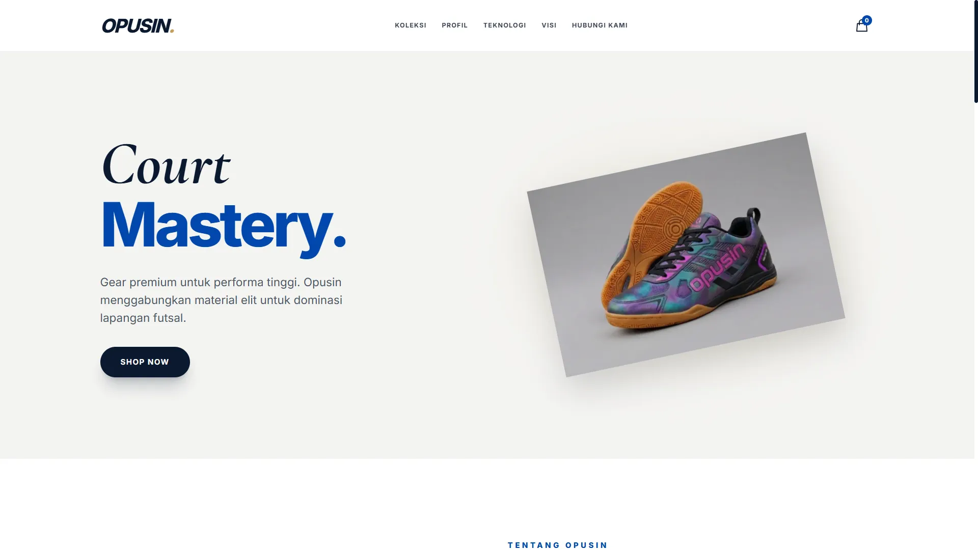 Website E-Commerce Opusin